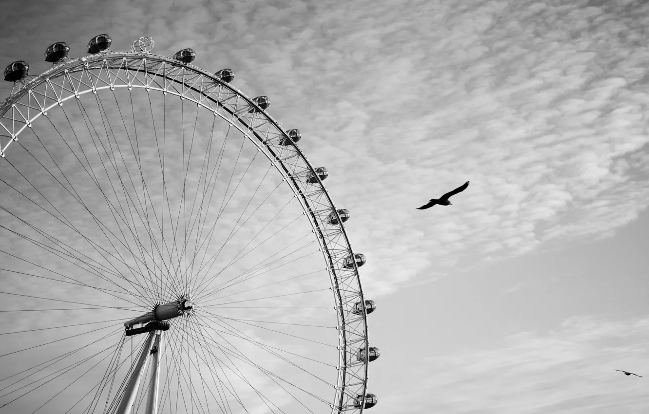 Фото обои небо, облака, птицы, лондон, чёрно-белое, колесо обозрения, london, london eye