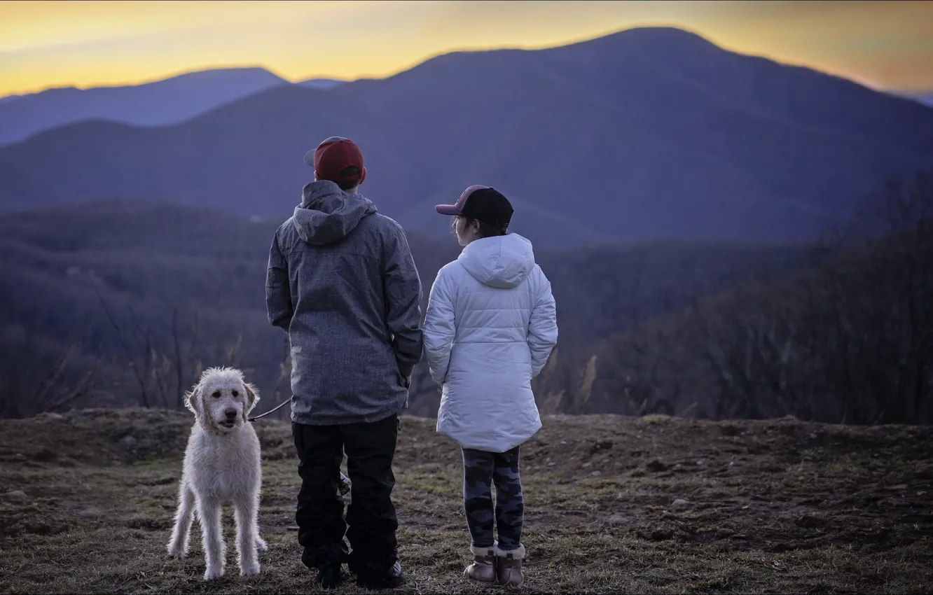 Фото обои горы, природа, люди, собака, nature, dog, mountains, people