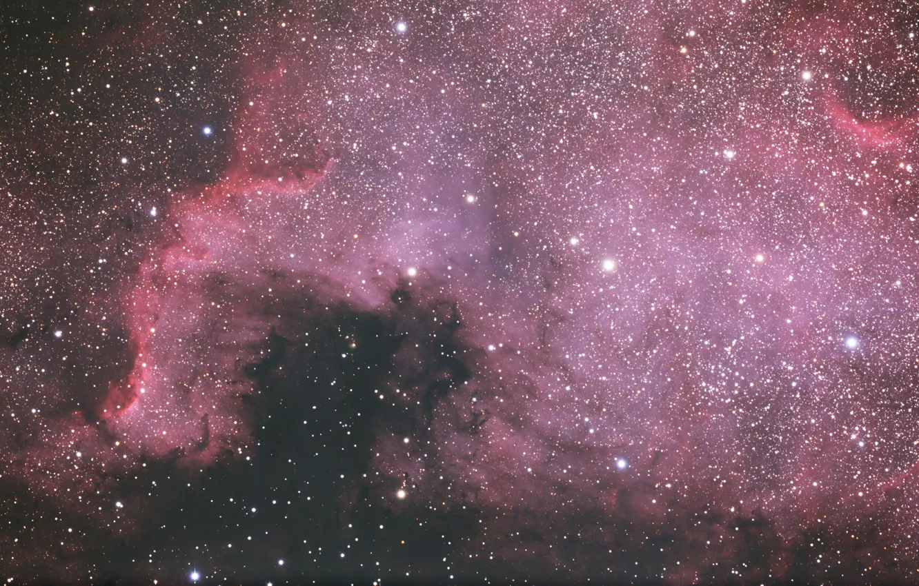Фото обои Туманность, Северная Америка, North America Nebula, в созвездии Лебедь