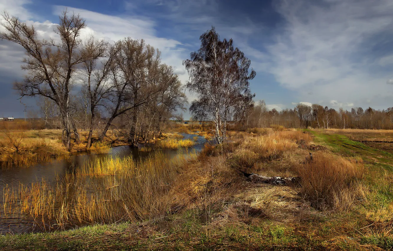 Фото обои деревья, река, Зауралье