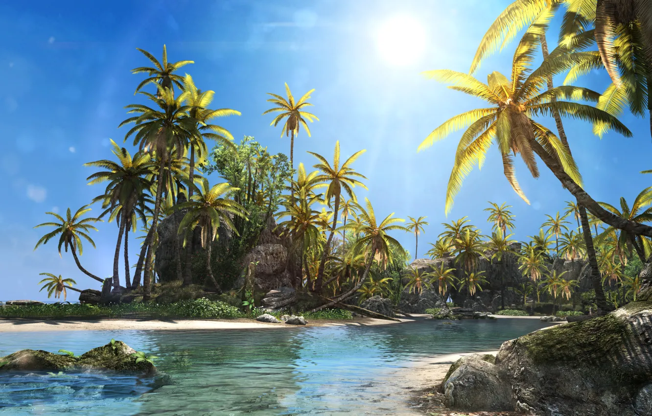 Фото обои пляж, солнце, пальмы, остров, Black Flag, Assassin's Creed IV