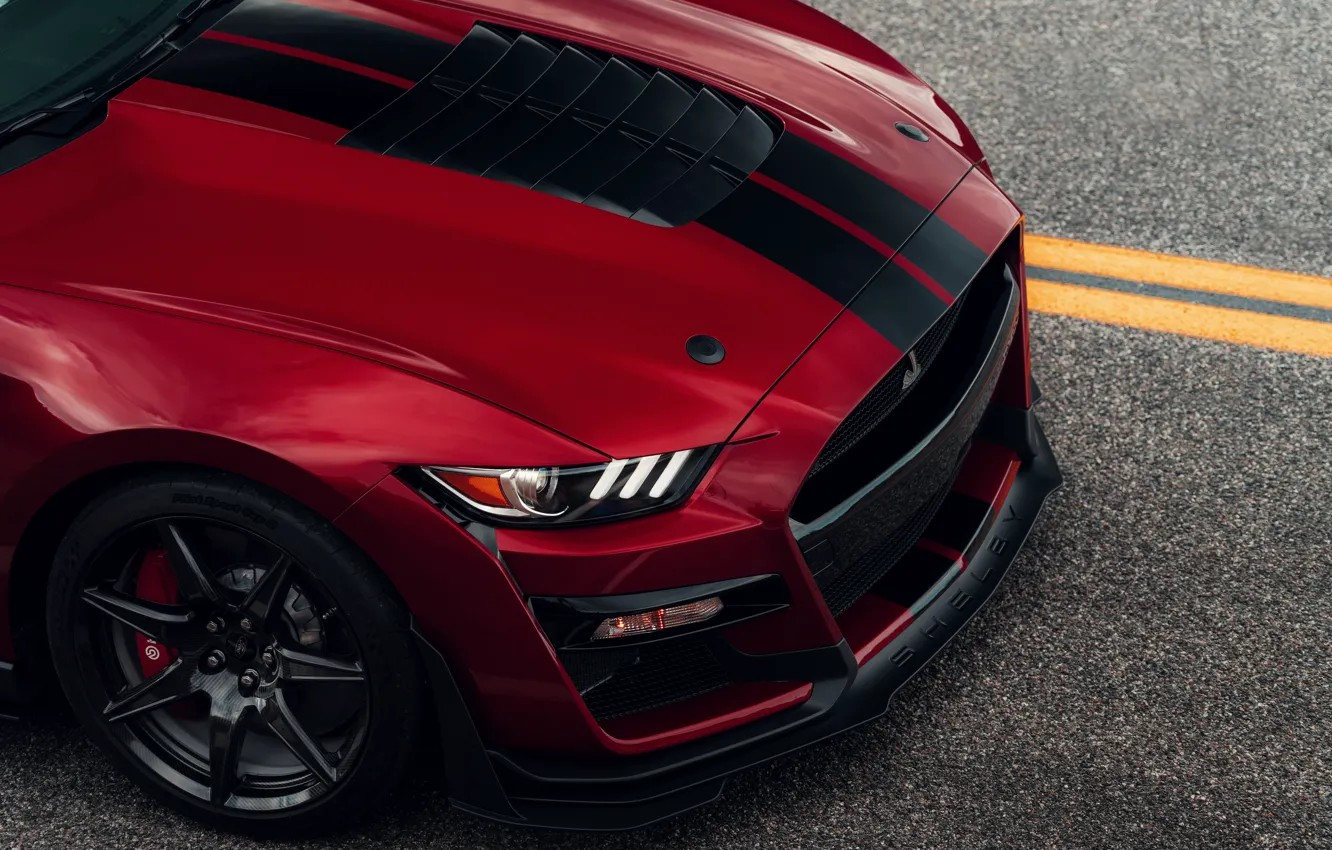 Фото обои Mustang, Ford, Shelby, GT500, капот, кровавый, 2019