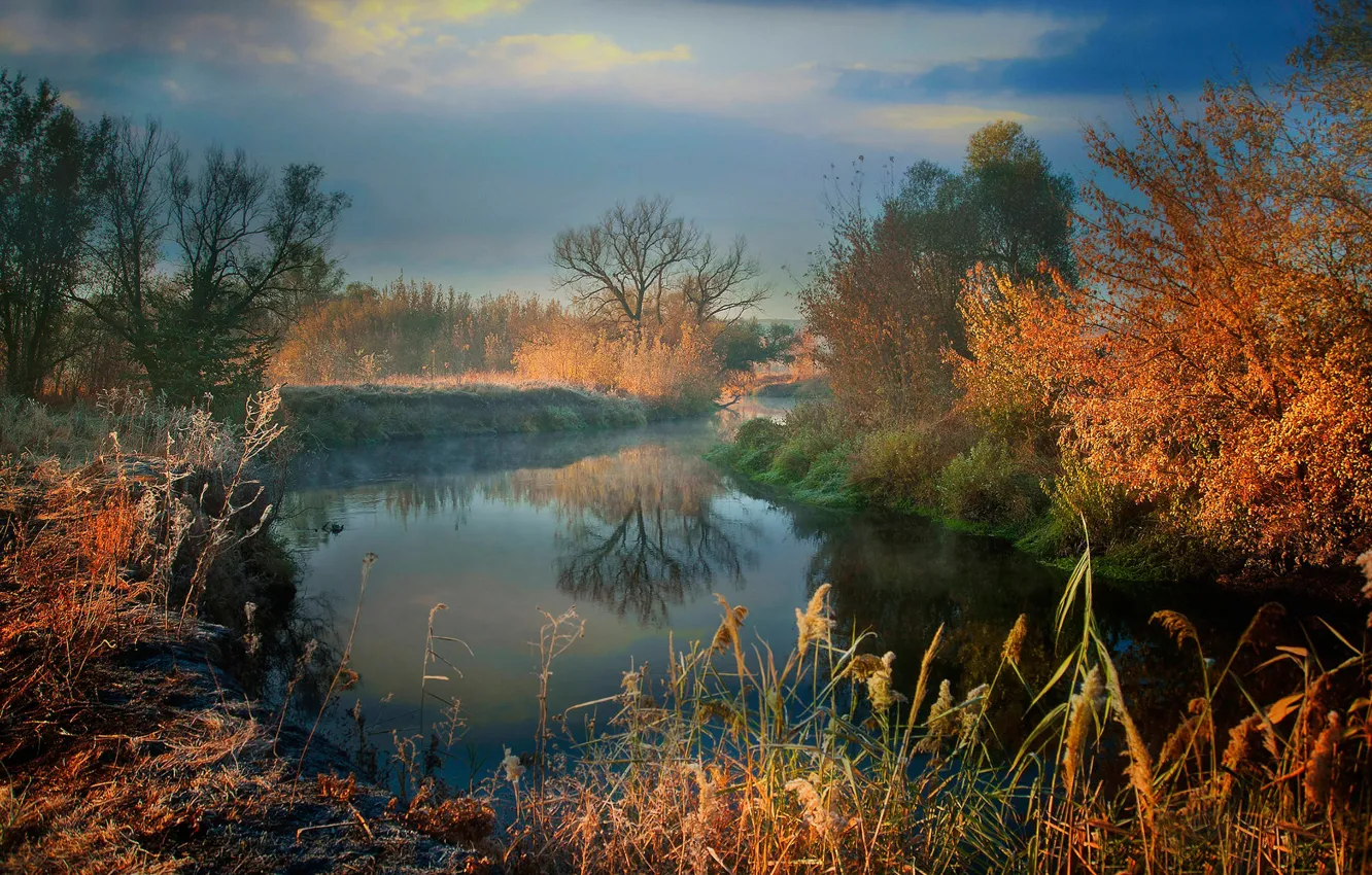 Фото обои иней, осень, трава, солнце, деревья, туман, река, утро