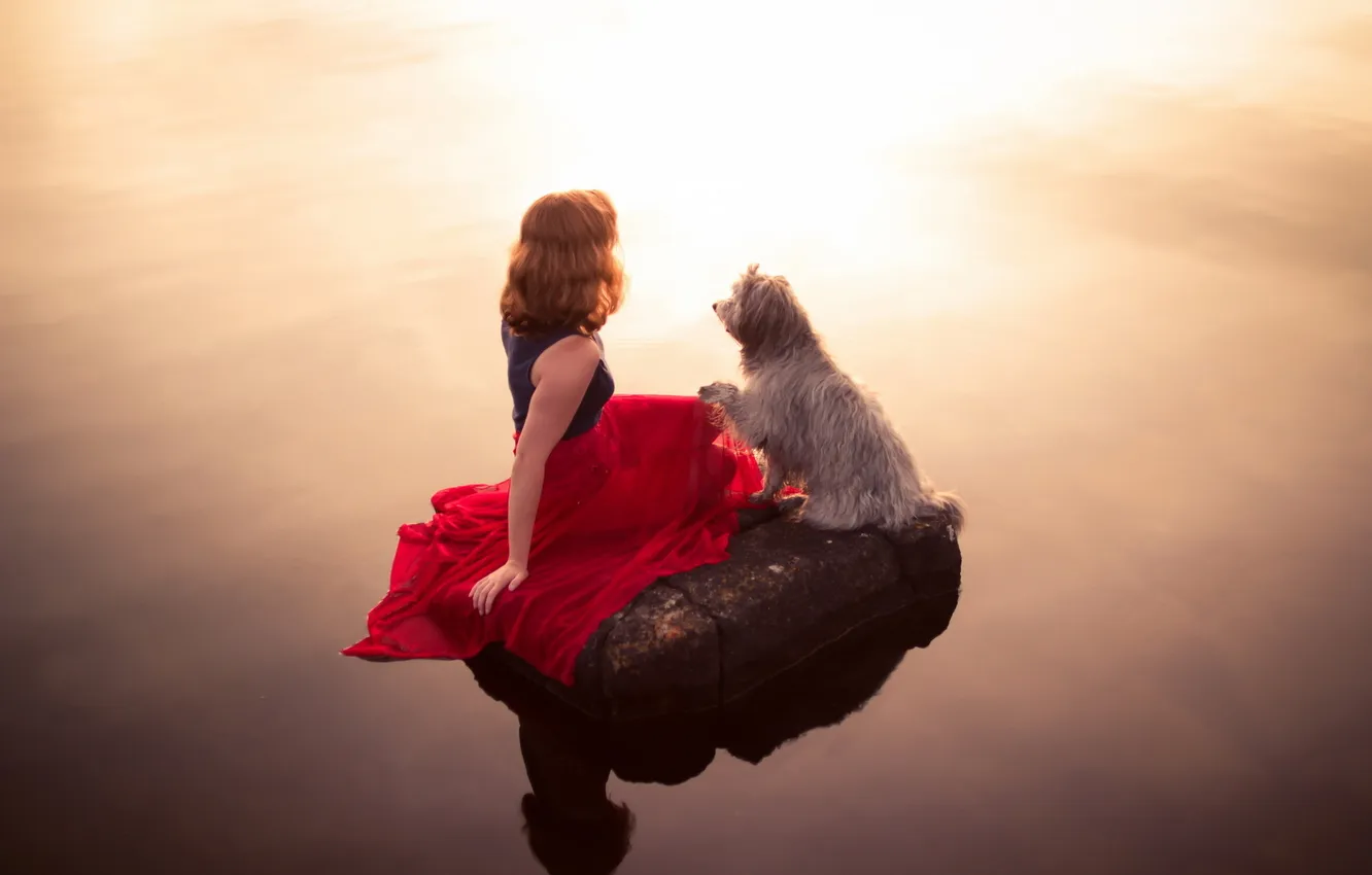 Фото обои девушка, свет, озеро, настроение, собака, вечер
