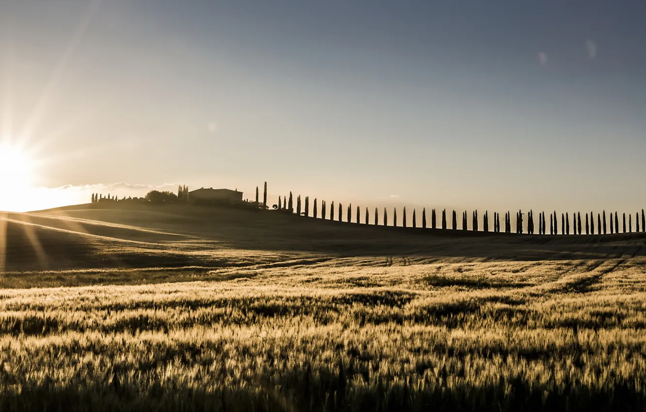 Фото обои поле, пейзаж, туман, утро, Tuscany Morning
