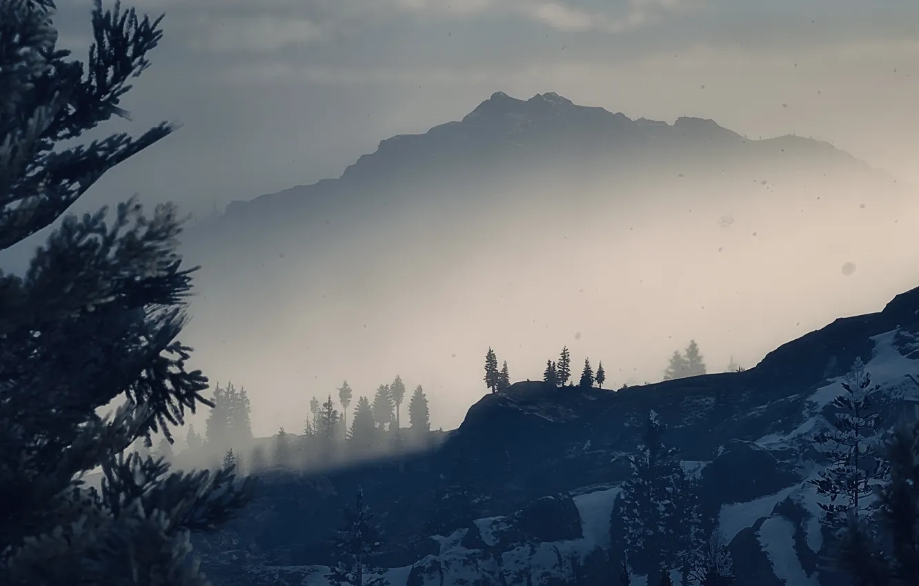 Фото обои HDR, Wood, Mountain, Snow, Game, Fog, Trees, Cold