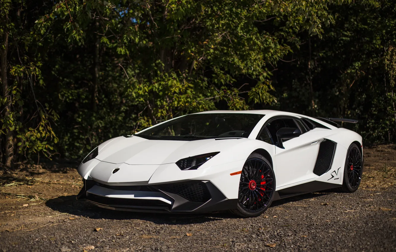 Фото обои white, lamborghini, aventador, lp 750-4