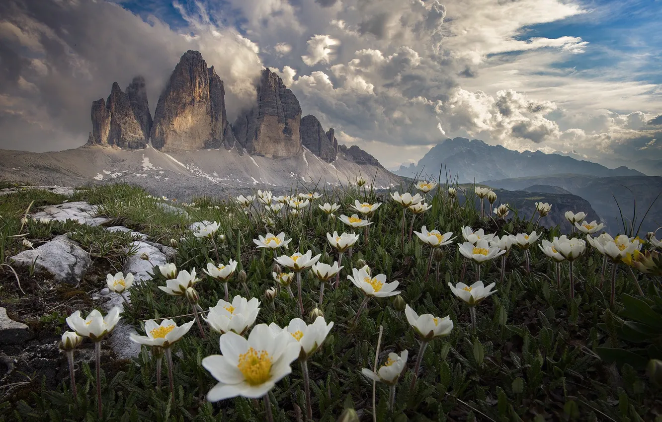 Фото обои облака, пейзаж, цветы, горы, природа, Италия, травы, анемоны