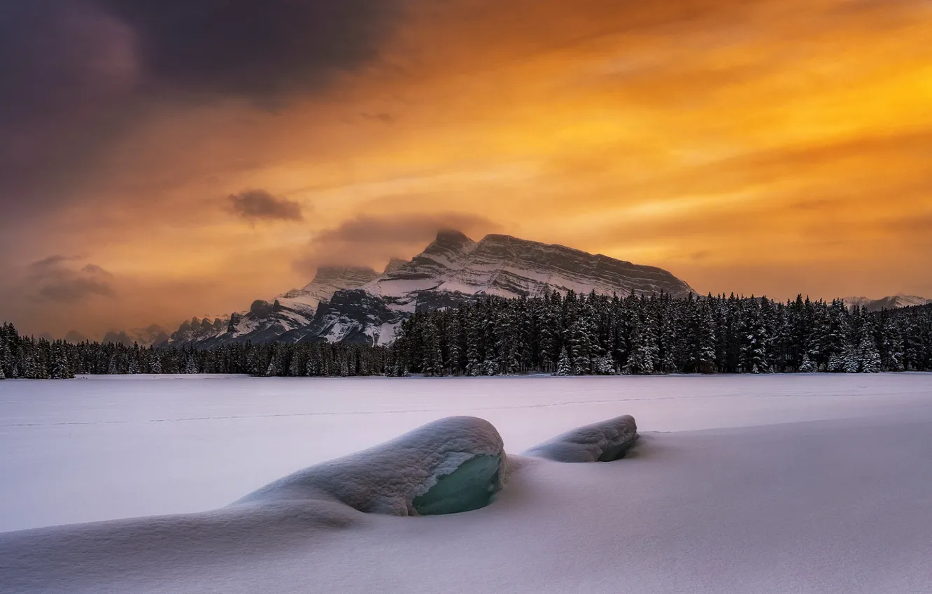 Фото обои зима, лес, небо, снег, горы, Timothy Poulton