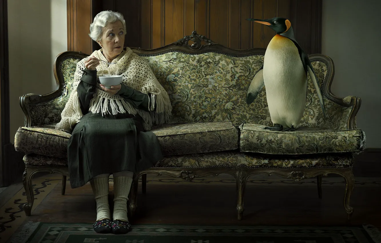 Фото обои диван, бабушка, пингвин