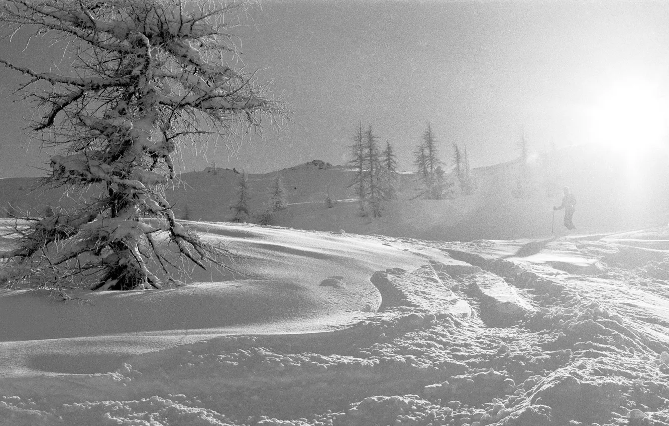 Фото обои зима, снег, пейзаж, природа
