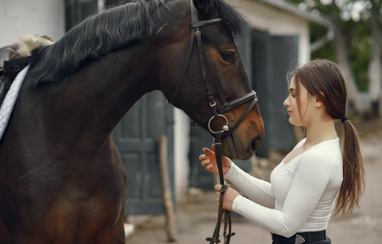 Фото обои девушка, друг, конь, лошадь, блузка, профиль, шатенка, стоит