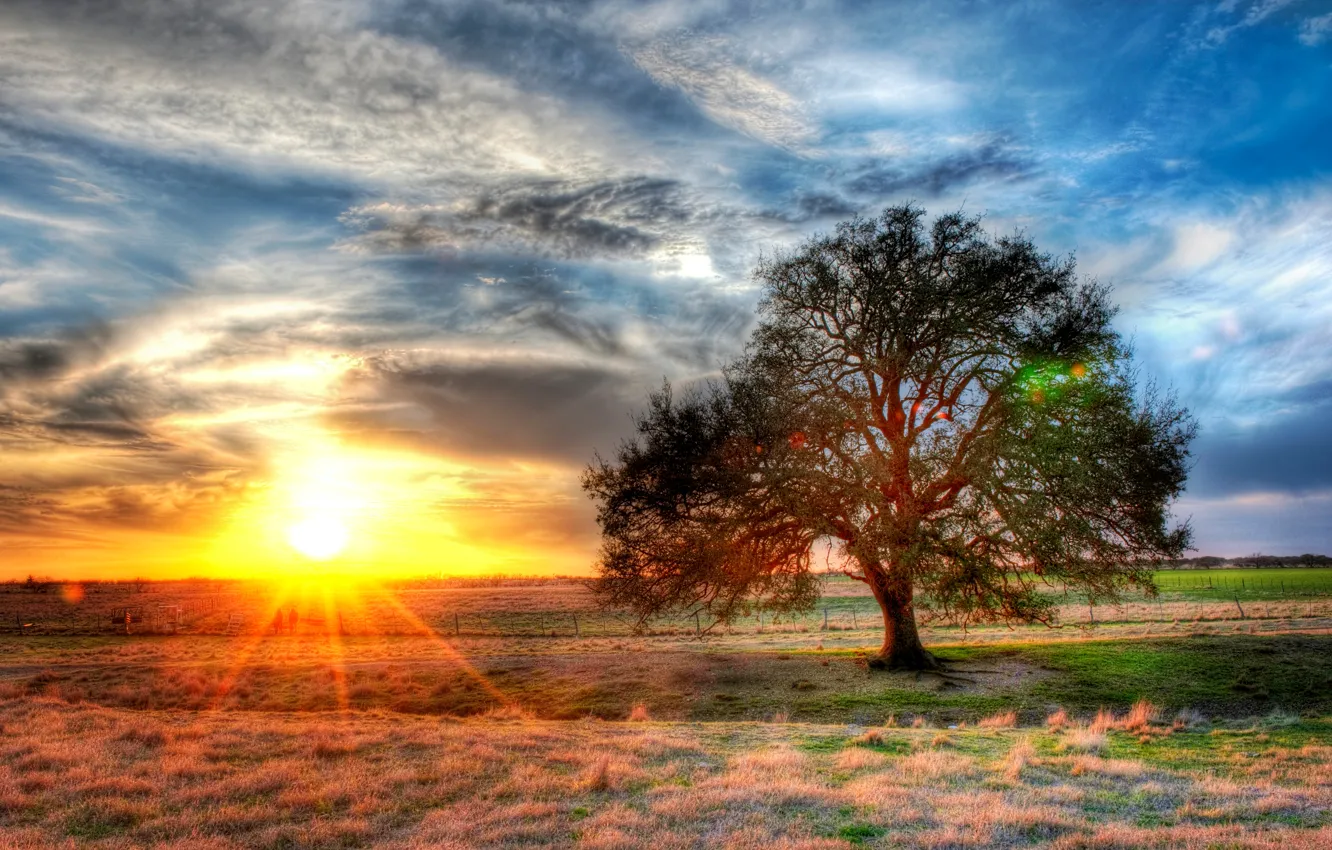 Фото обои закат, сша, sunset, техас, ферма, texas, farm, ранчо