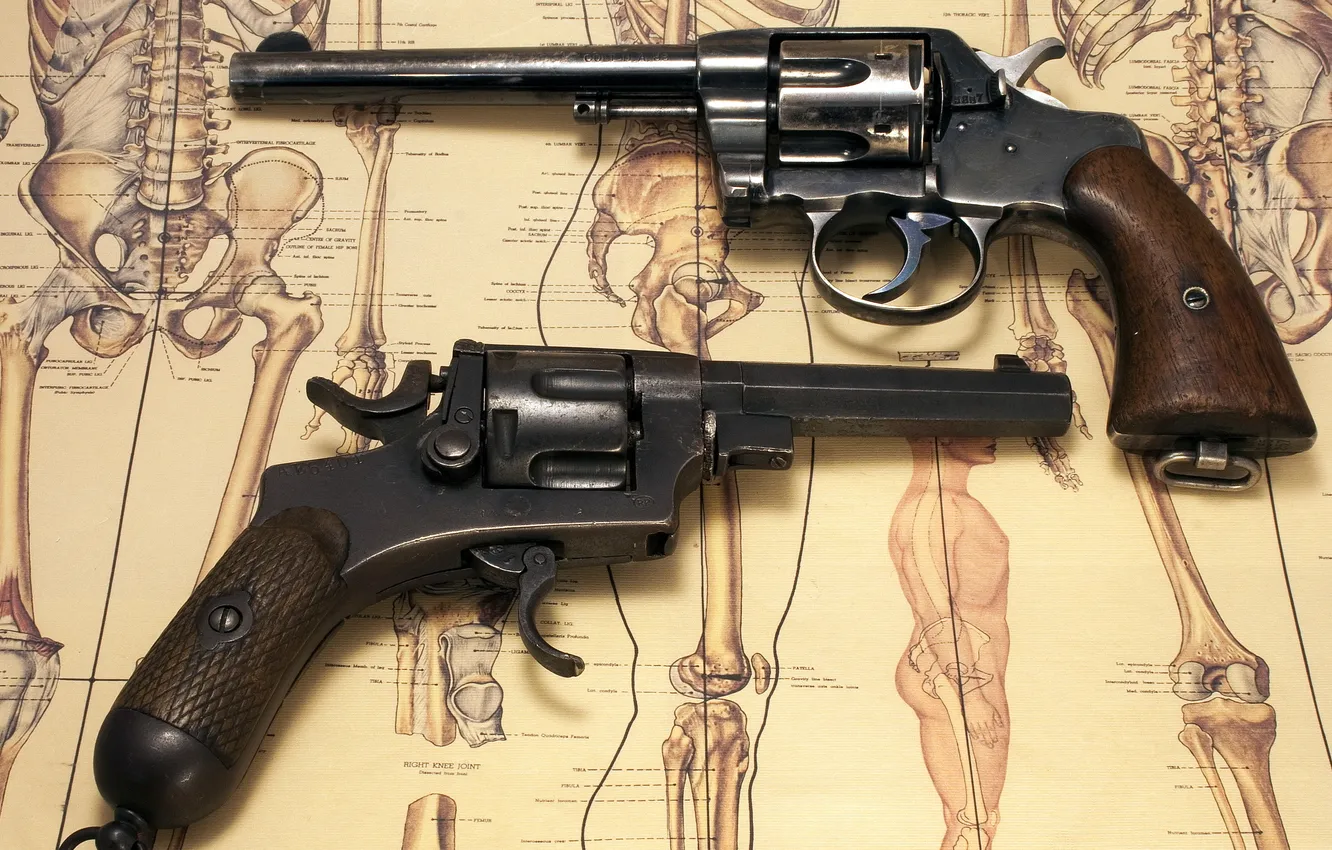 Фото обои оружие, фон, 1918 Mida Gia Castelli Bodeo model 1889 and Colt 1901