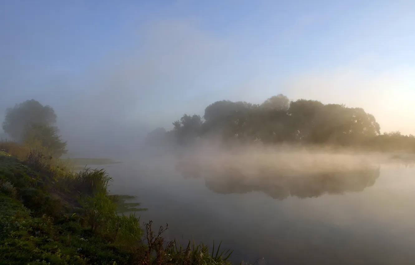 Фото обои природа, туман, озеро, утро