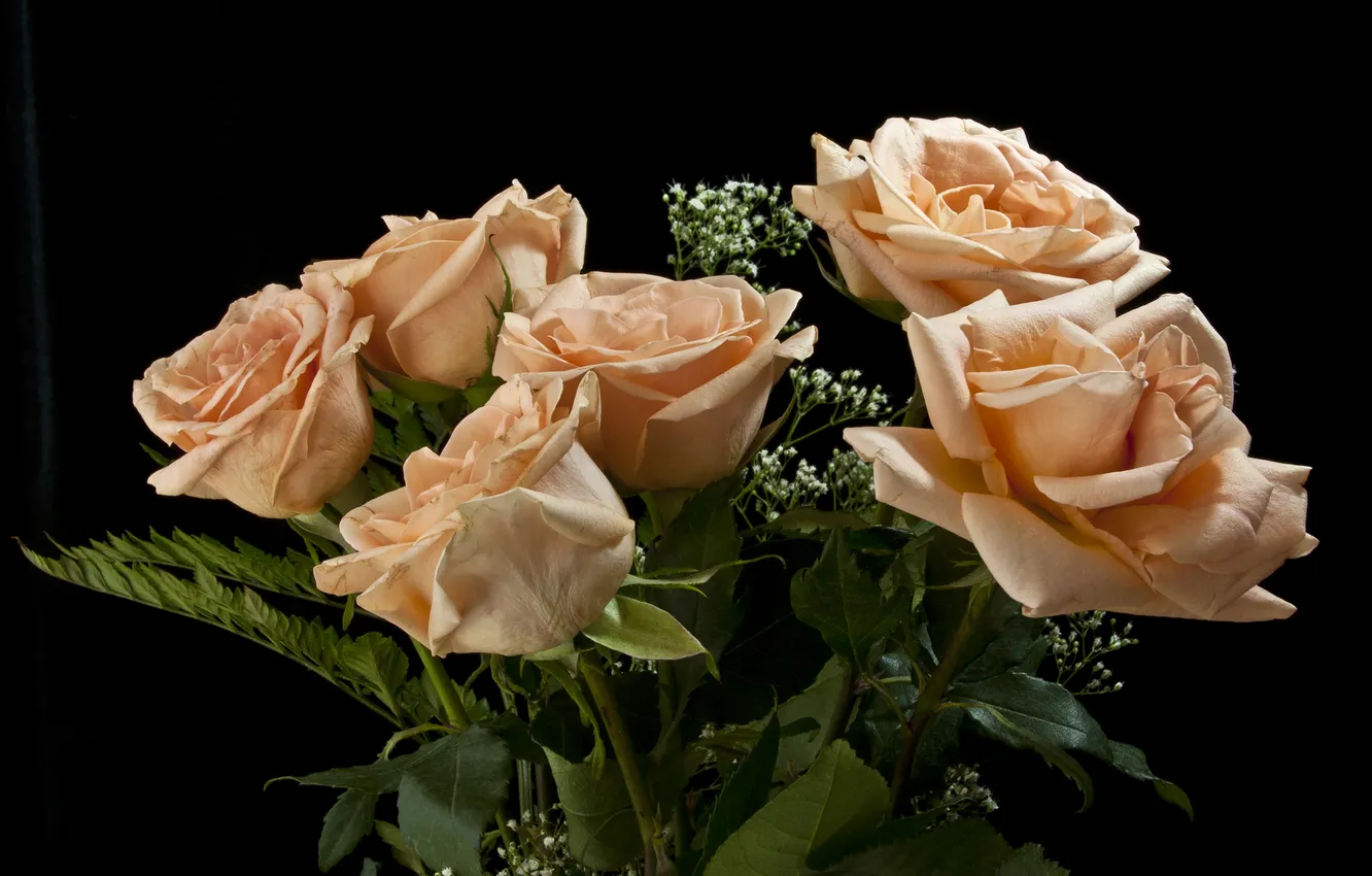 Фото обои розы, букет, черный фон
