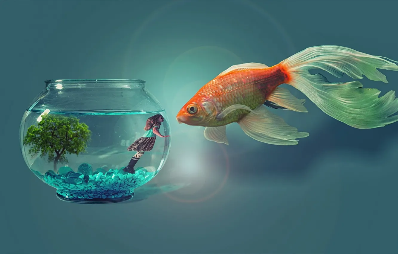 Фото обои digital art, fish, artwork, photo manipulation, animal themes