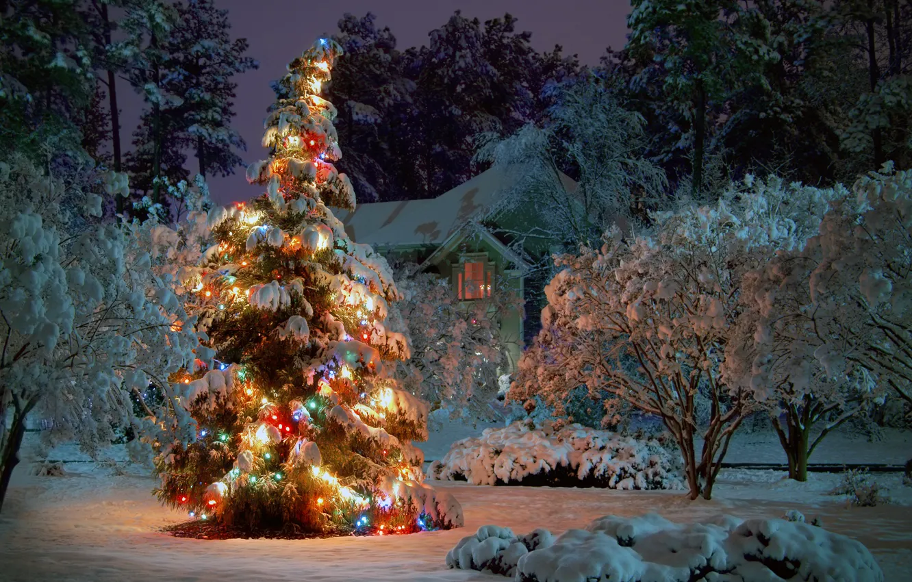 Фото обои зима, снег, деревья, ночь, дом, праздник, ель, ёлка