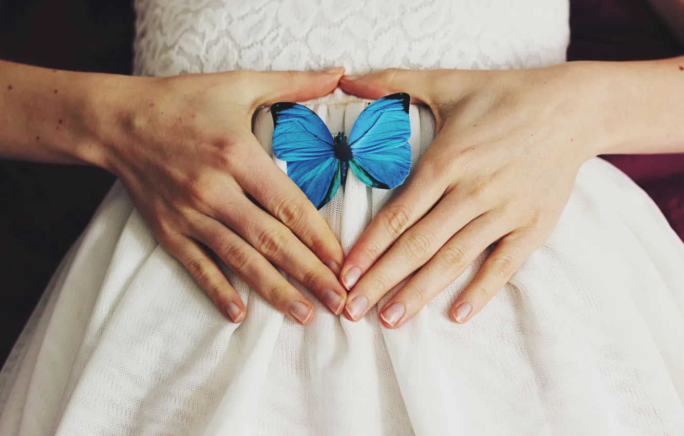 Фото обои бабочка, крылья, руки, синие