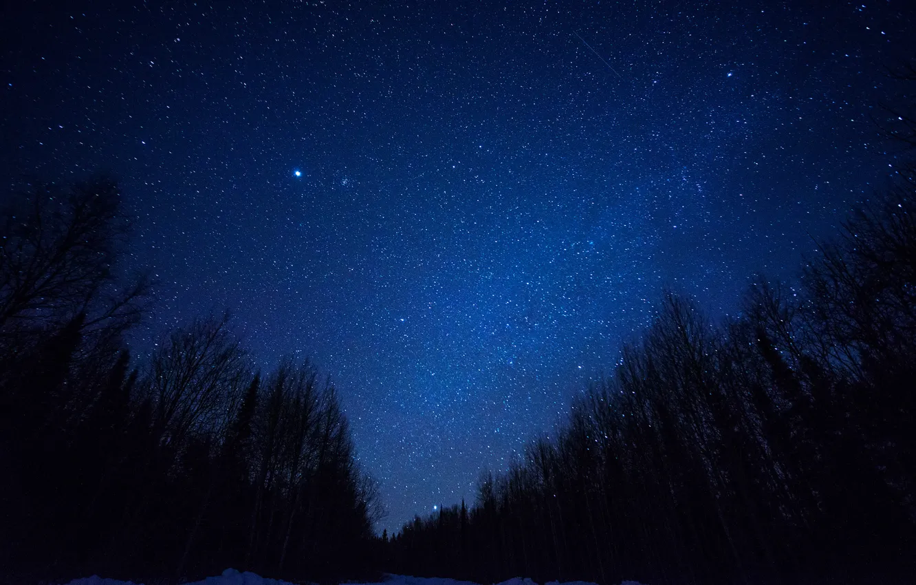 Фото обои космос, звезды, деревья, ночь, пространство, силуэт, млечный путь
