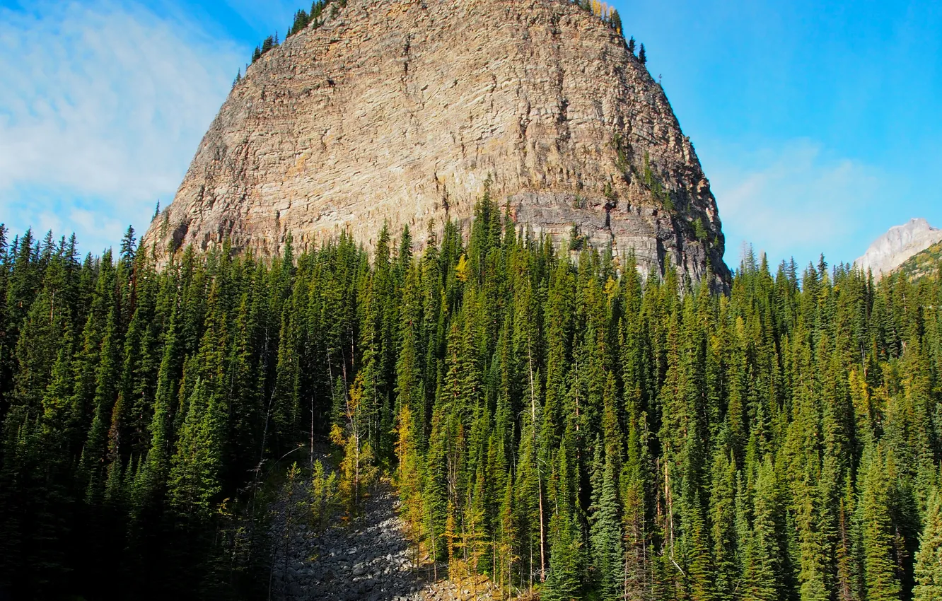 Фото обои лес, деревья, горы, камни, скалы, Канада, Банф