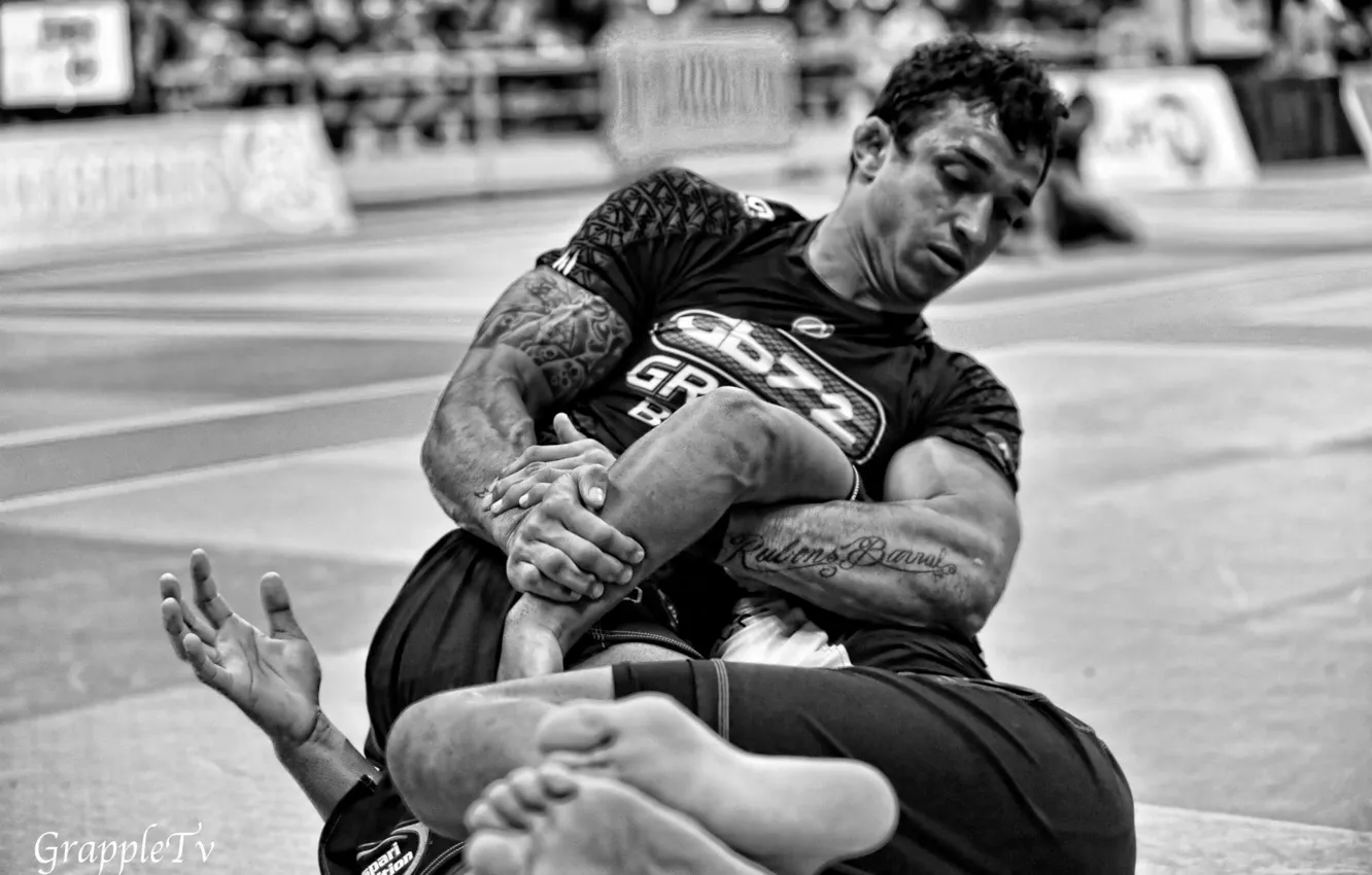 Фото обои Fight, Grappling, BJJ