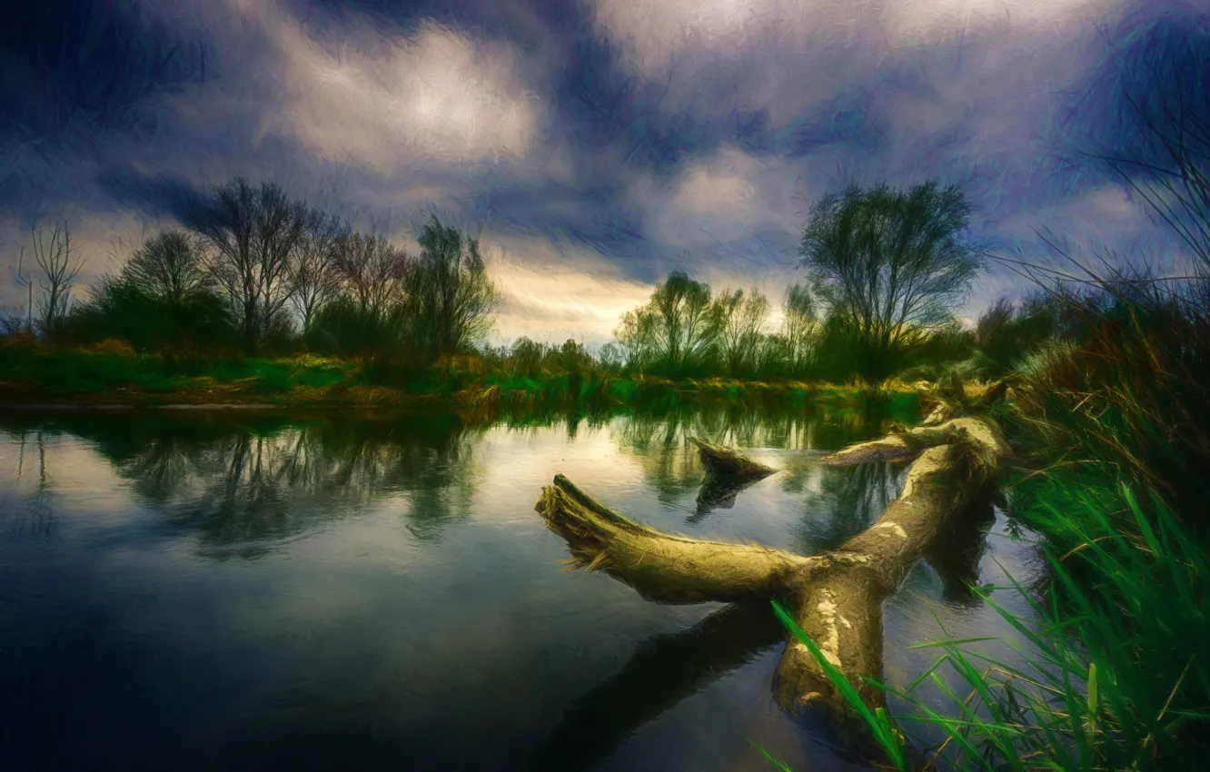 Фото обои деревья, тучи, озеро