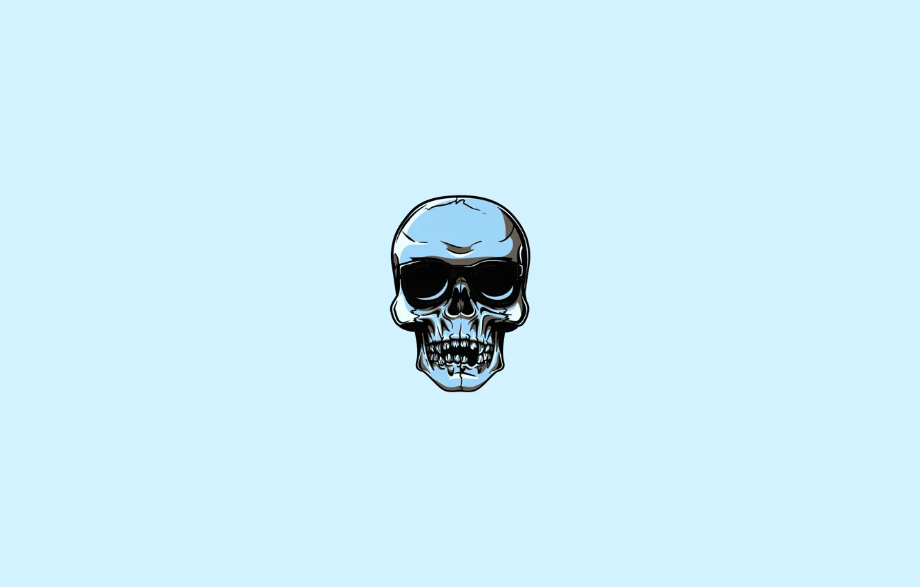 Фото обои skull, blue, gray