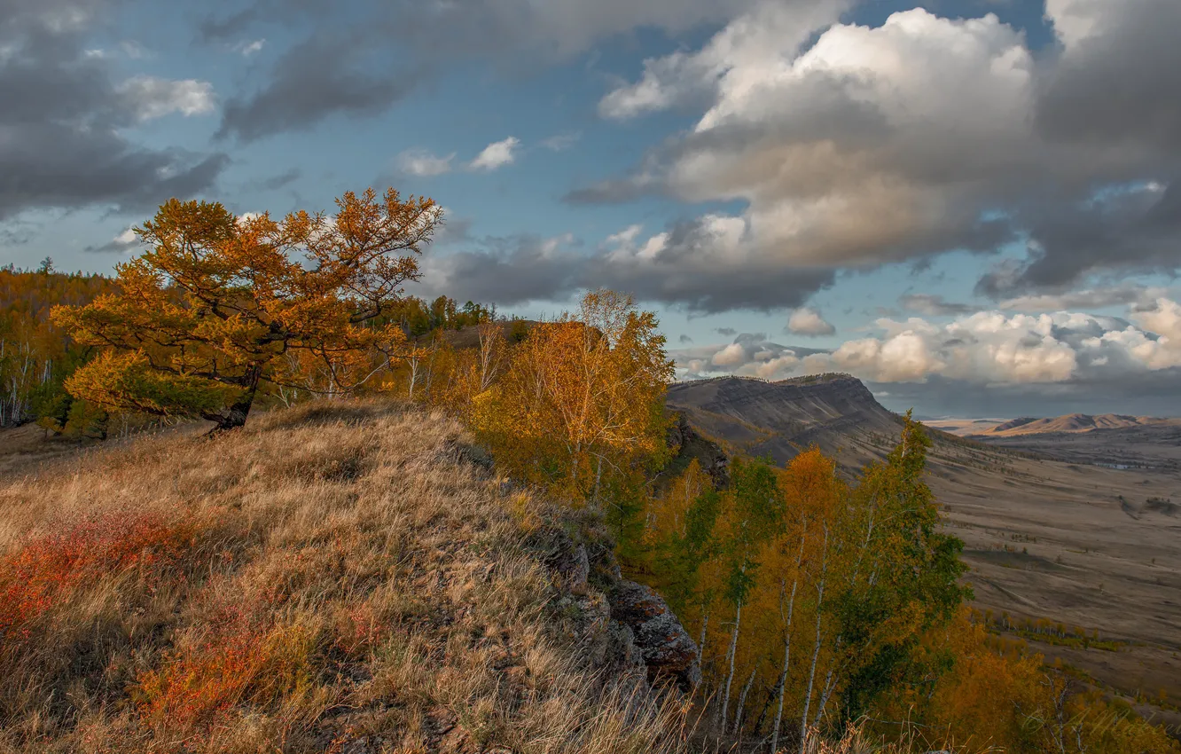 Фото обои осень, лес, трава, облака, деревья, пейзаж, горы, природа