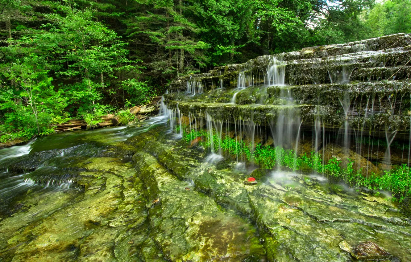 Фото обои лес, природа, камни, фото, водопад