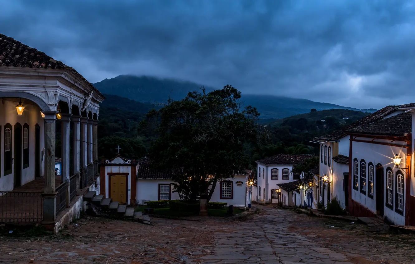 Фото обои лес, облака, деревья, пейзаж, горы, огни, туман, улица