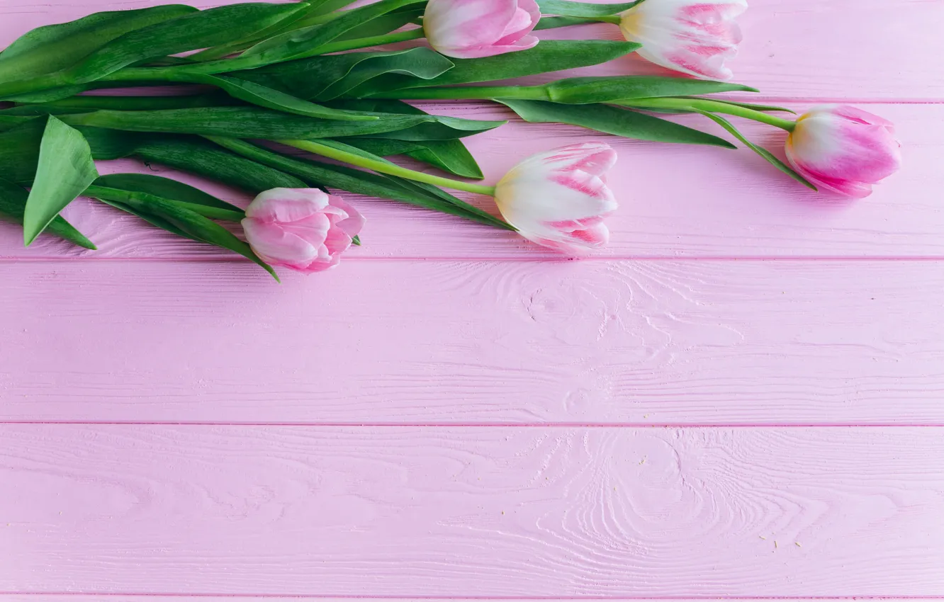 Фото обои розовый, Цветы, букет, тюльпаны, деревянный фон