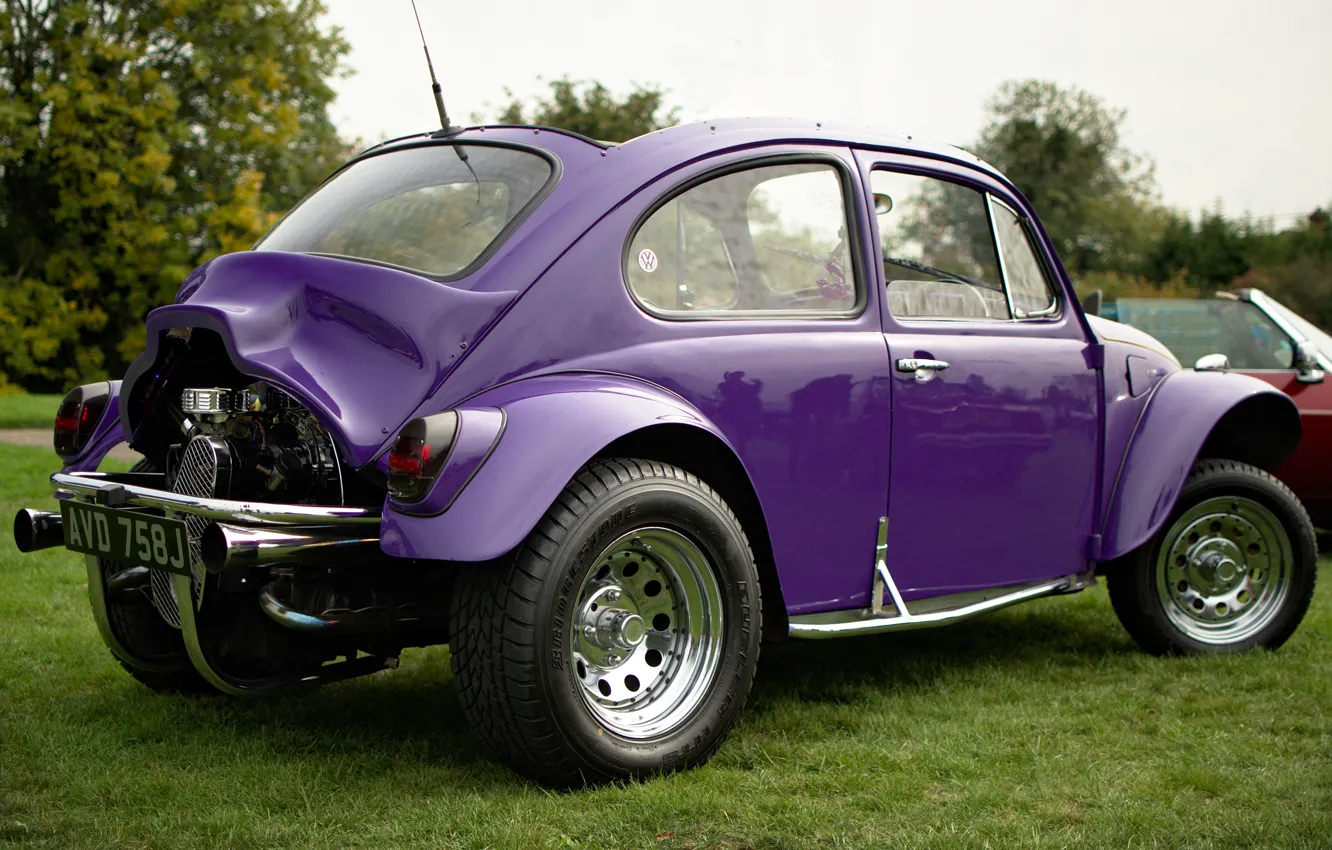 Фото обои жук, Volkswagen, 1971, VW Beetle