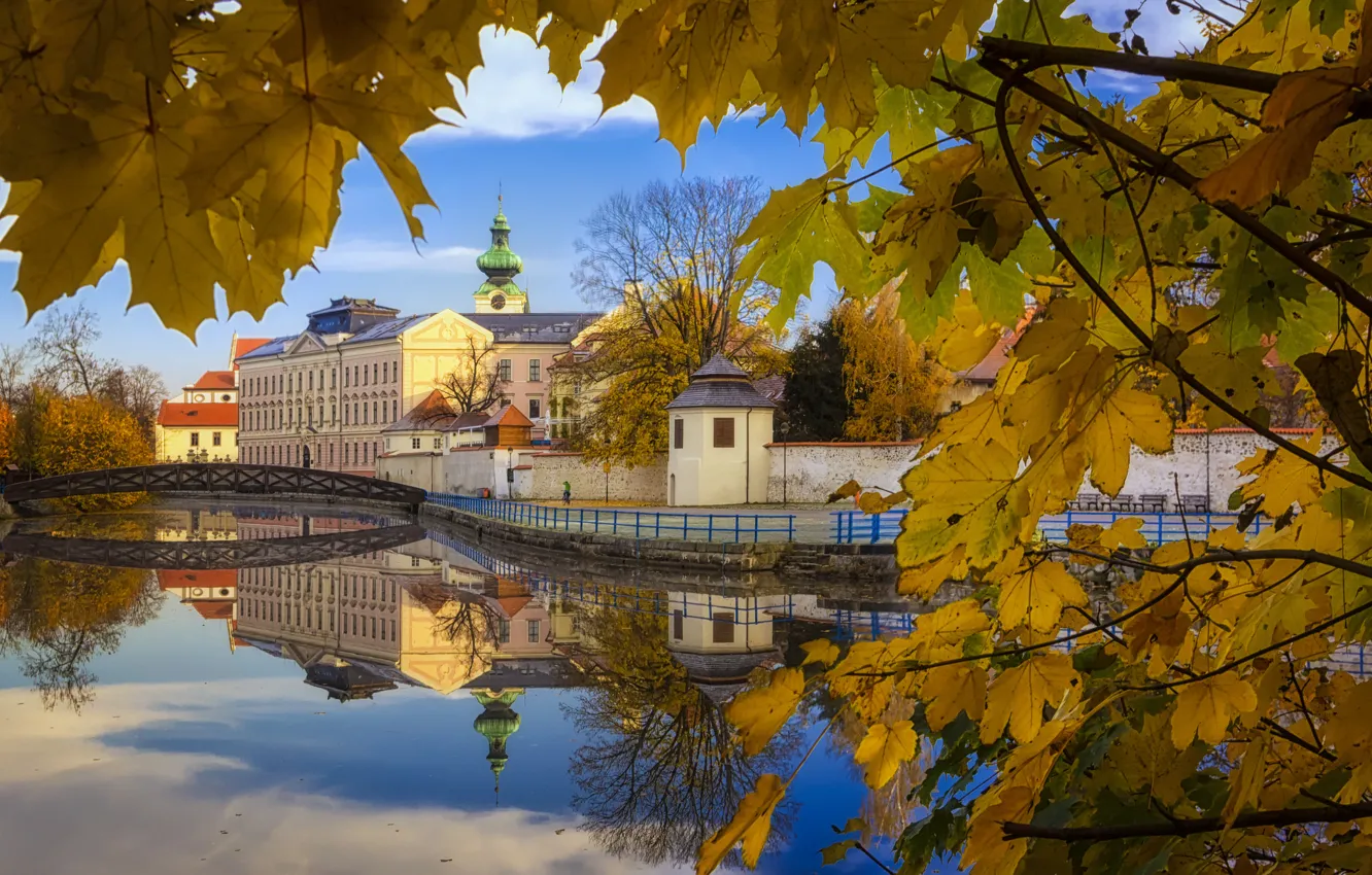 Фото обои осень, отражения, город, дома, Чехия, листва.мостик