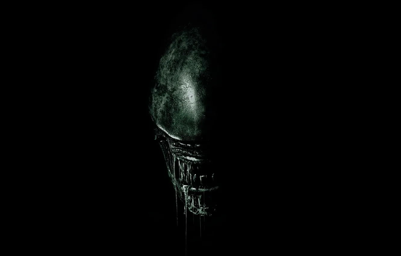 Фото обои Черный, Монстр, Чужой, Фон, Alien, Ксеноморф, Оскал, Слюни