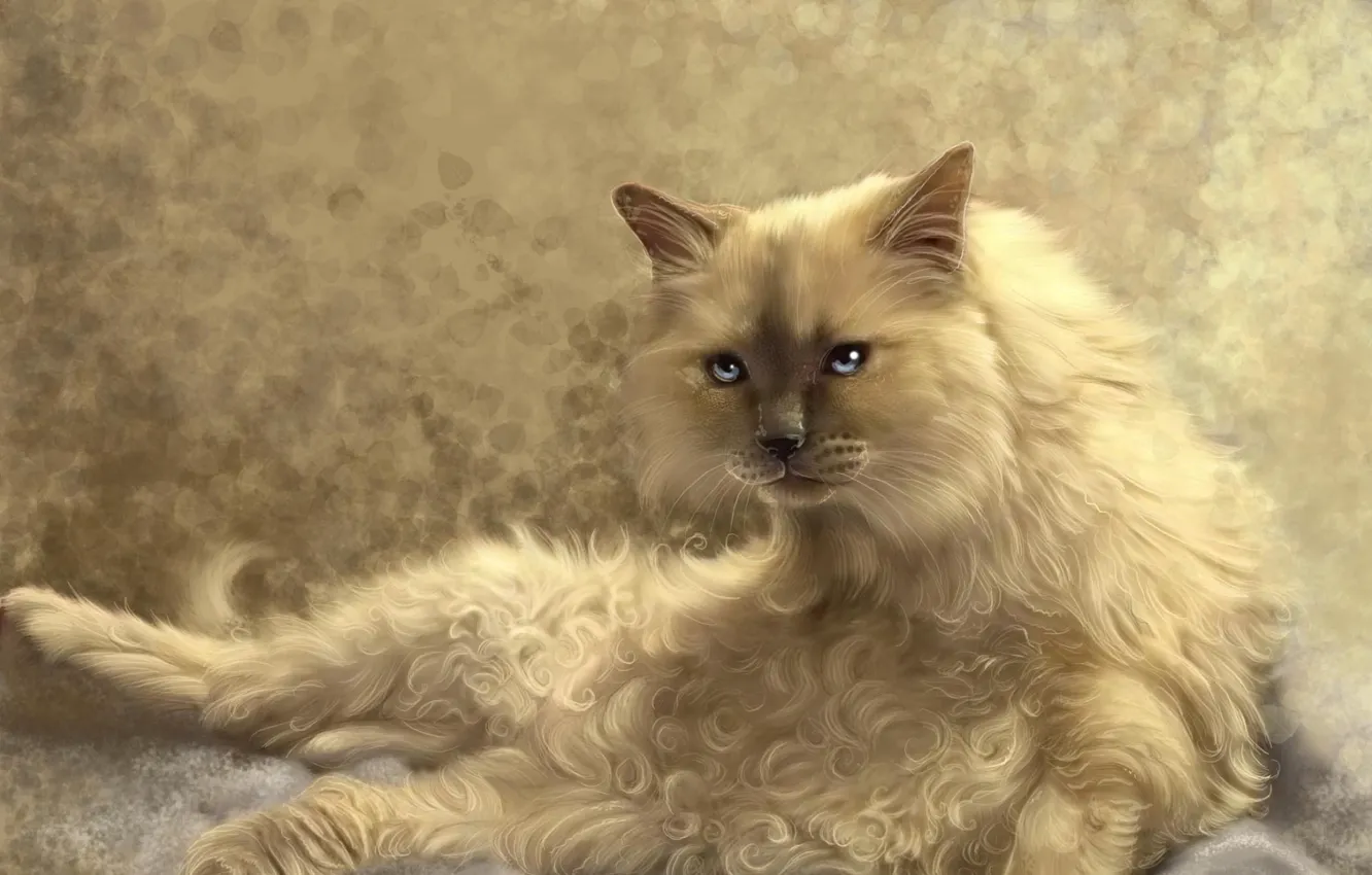 Фото обои кошка, кот, рисунок