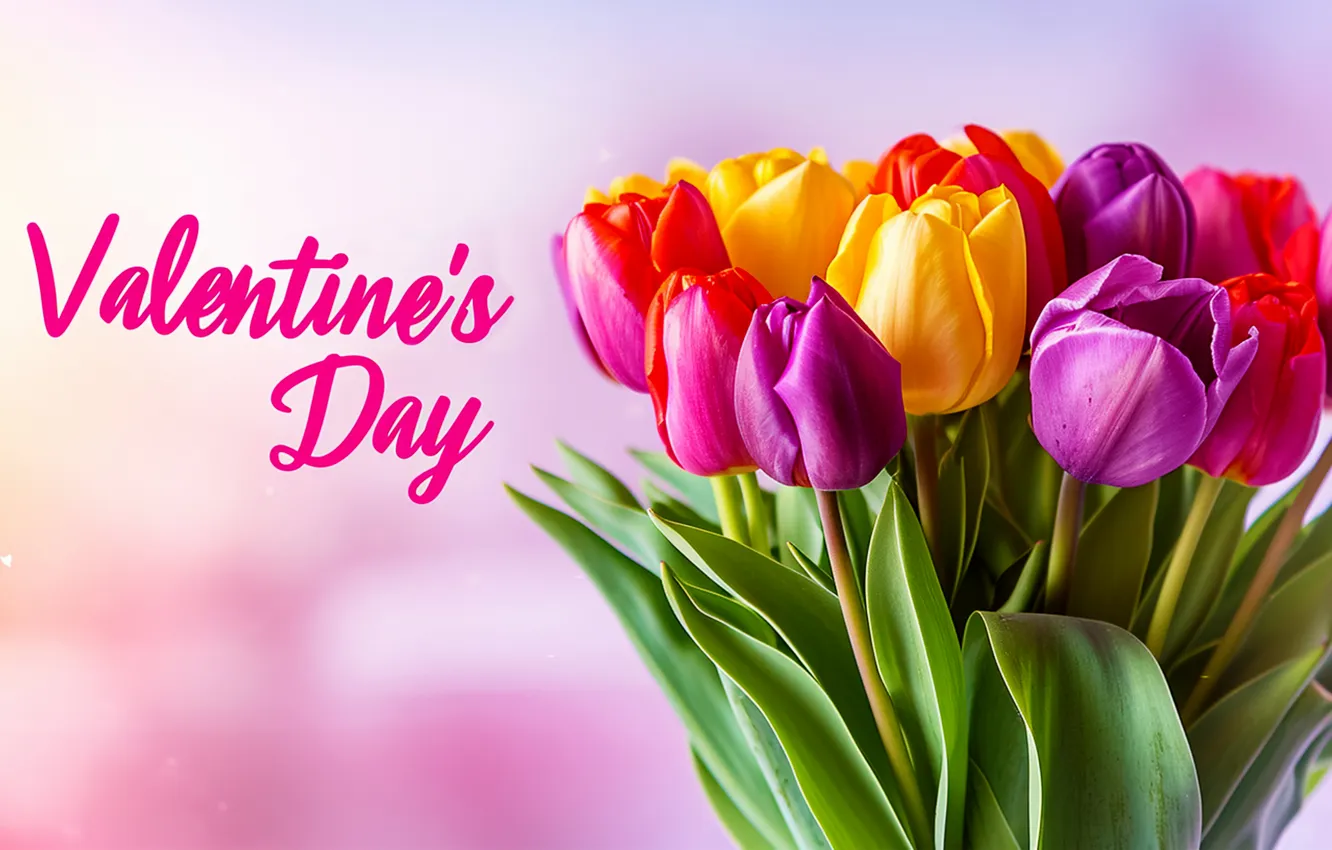 Фото обои любовь, цветы, романтика, букет, colorful, тюльпаны, love, happy
