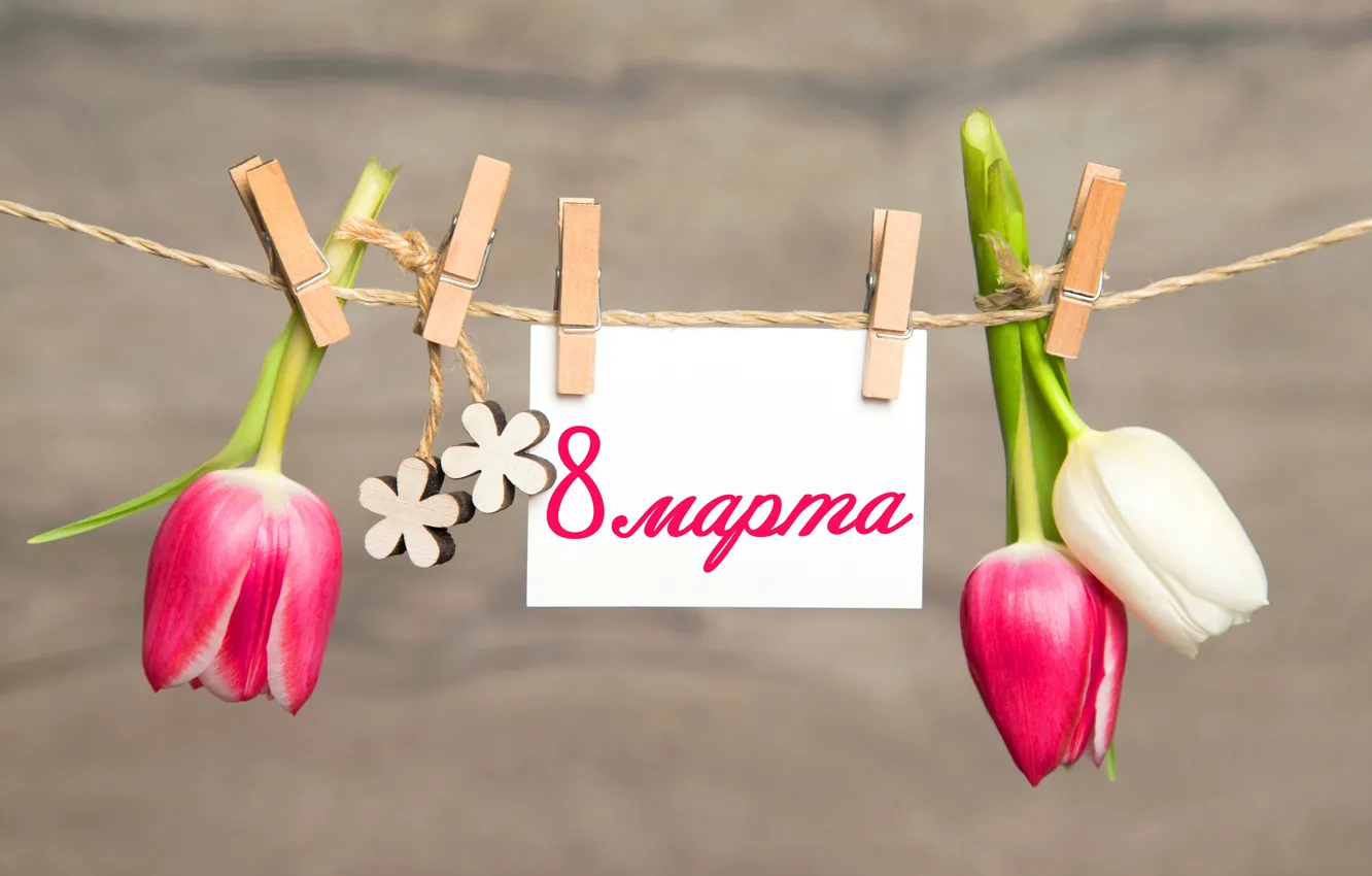 Фото обои цветы, тюльпаны, 8 марта, прищепки, pink, flowers, romantic, tulips