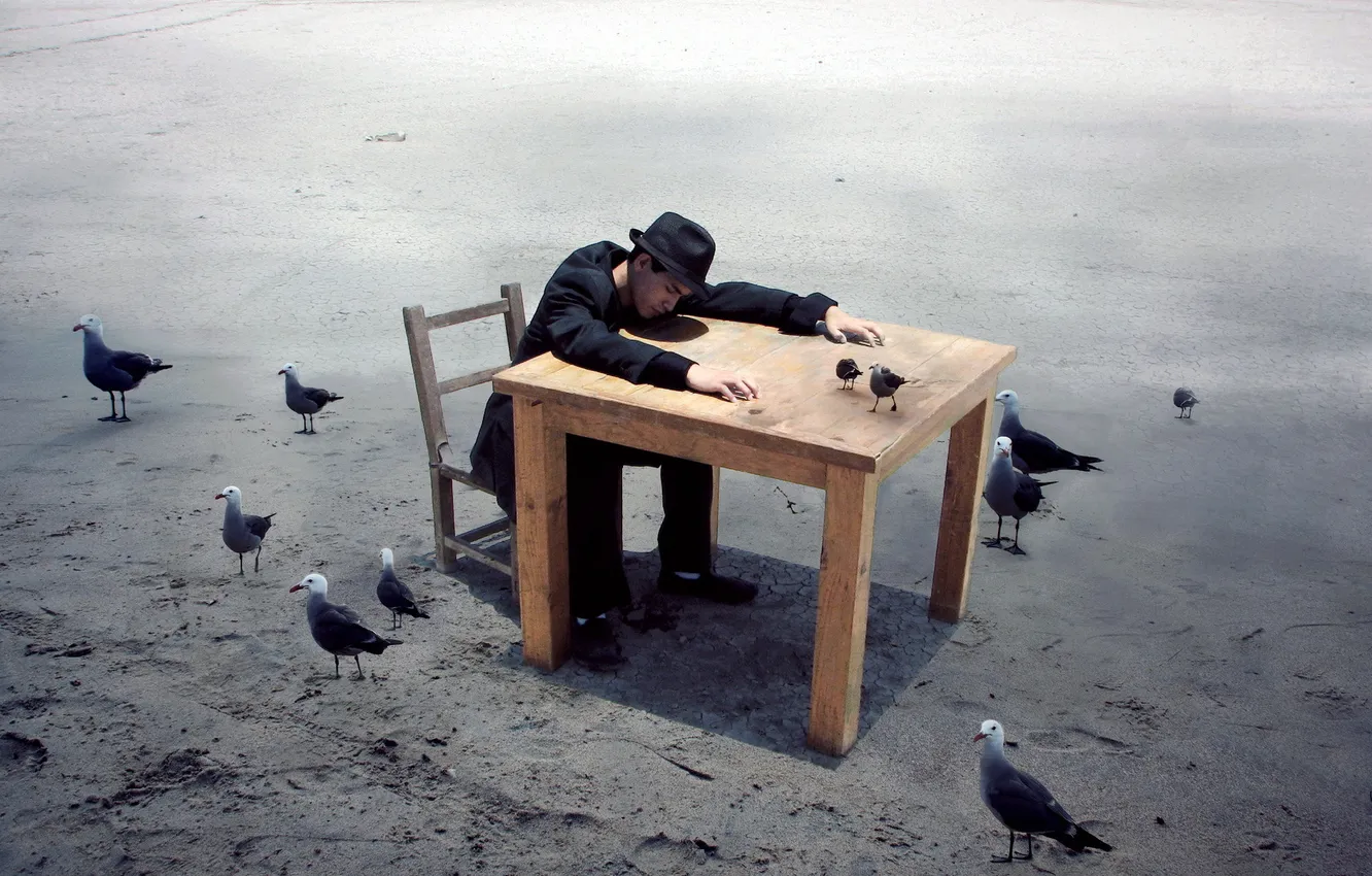 Фото обои птицы, стол, ситуация, парень