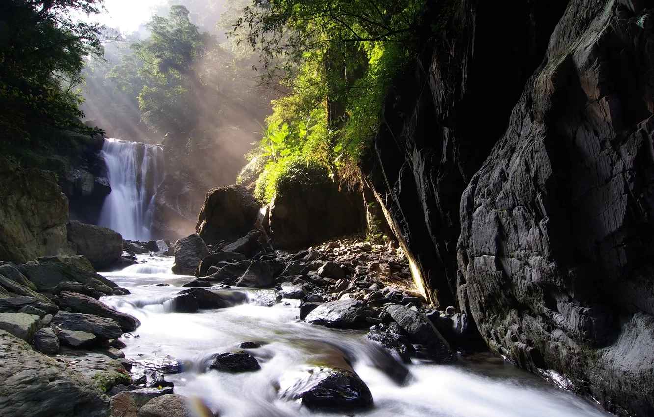 Фото обои природа, камни деревья, небольшой водопад