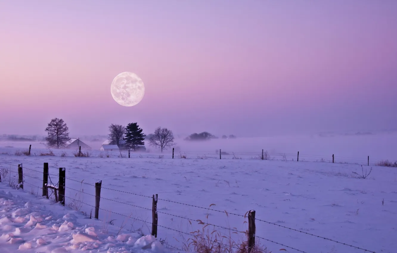 Фото обои зима, поле, снег, ночь