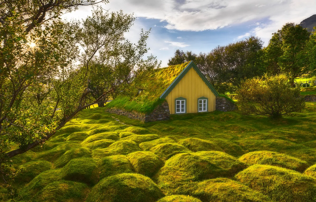 Фото обои зелень, небо, трава, солнце, облака, деревья, домик, Исландия