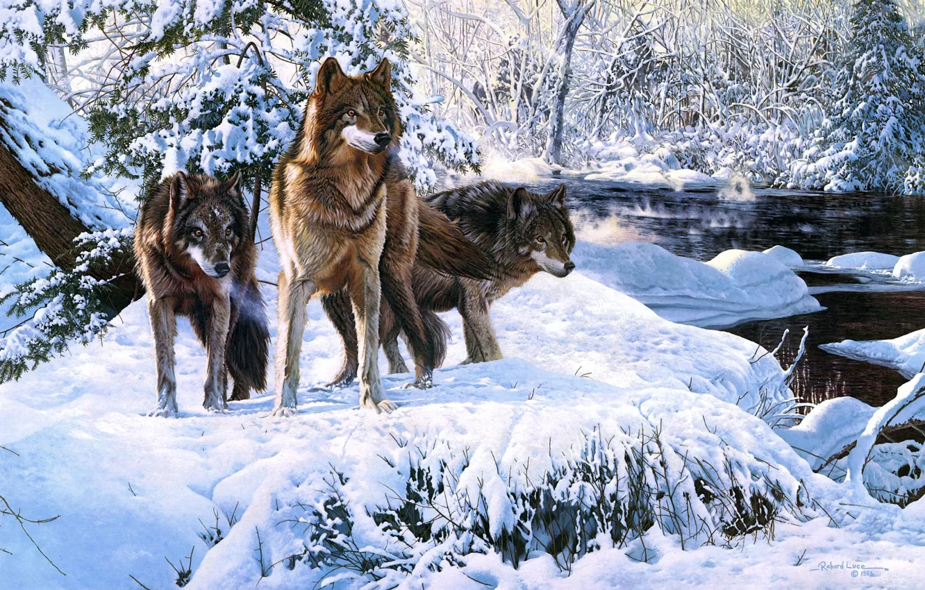 Фото обои зима, лес, снег, река, арт, волки, Richard Luce
