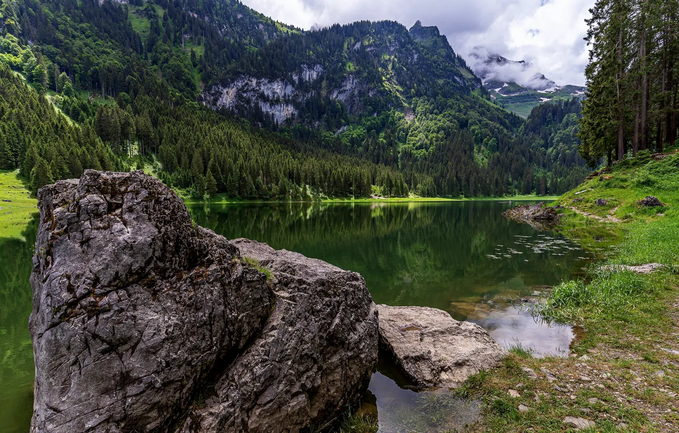 Фото обои forest, river, mountains, lake, rocks, highlands