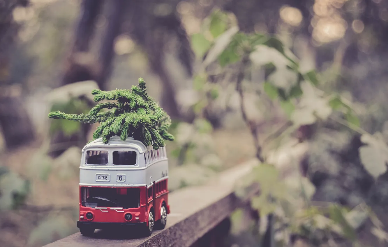 Фото обои игрушка, автобус, боке, моделька, еловые ветки