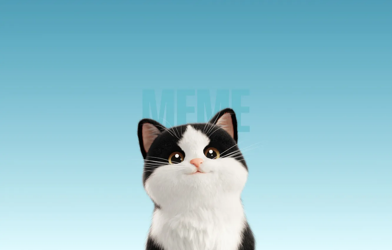 Фото обои Meme, Cartoon, Cute Cat, Blue background