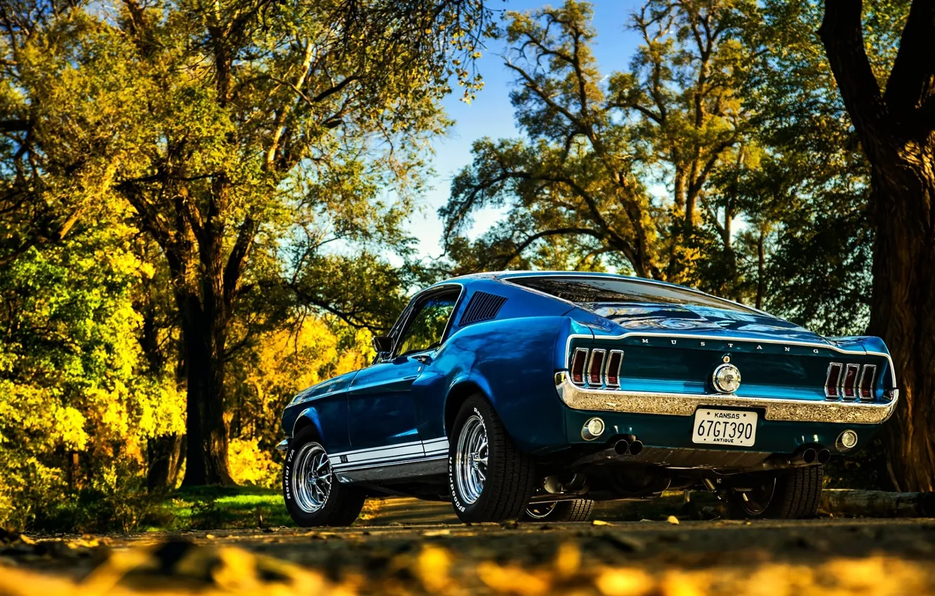 Фото обои Mustang, Ford, Fall, Beautiful, Classic, Blue, Colorful, Fastback