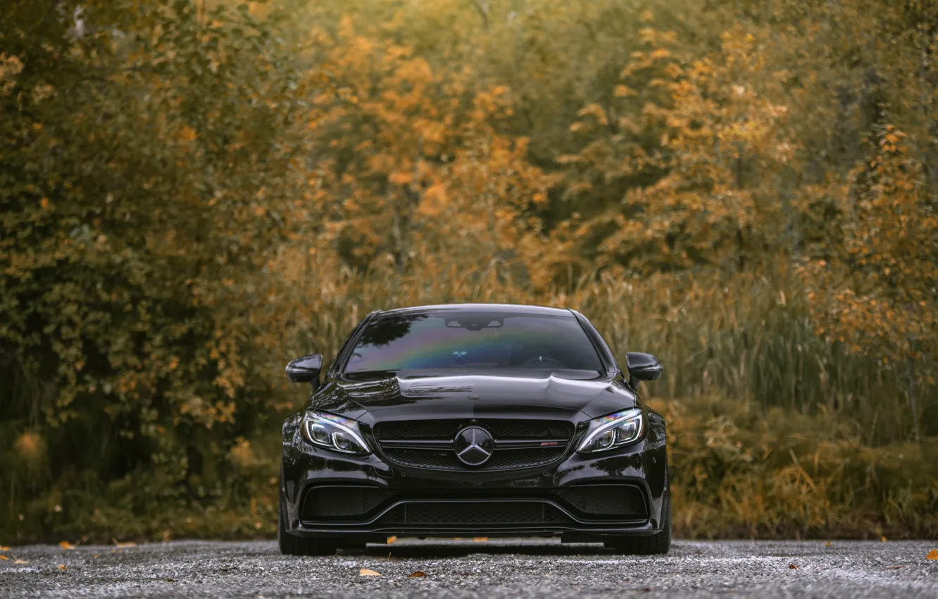 Фото обои Mercedes, Front, AMG, Black, Autumn, C63, Face, W205