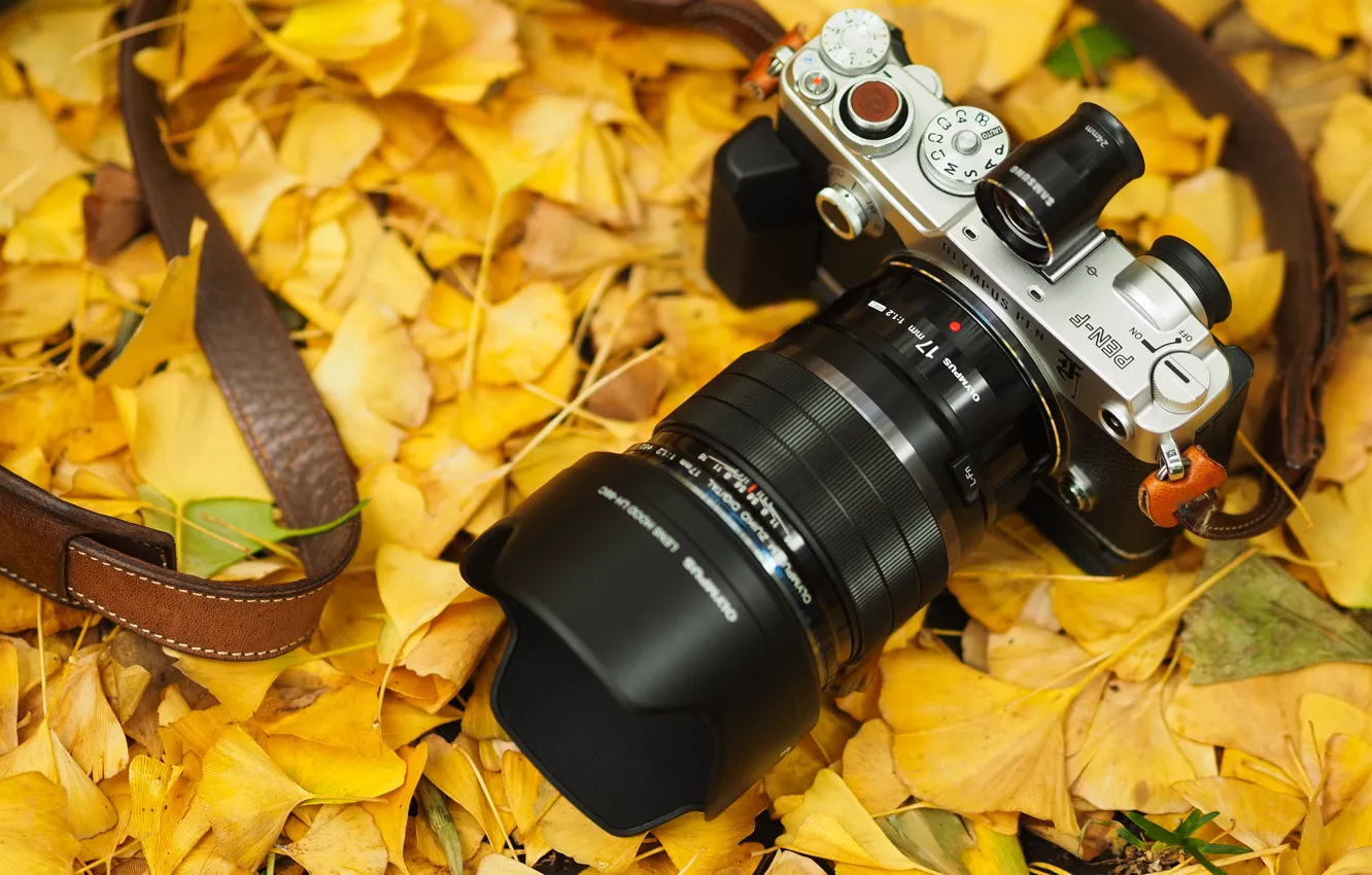 Фото обои осень, листья, фотоаппарат, ремешок, Olympus