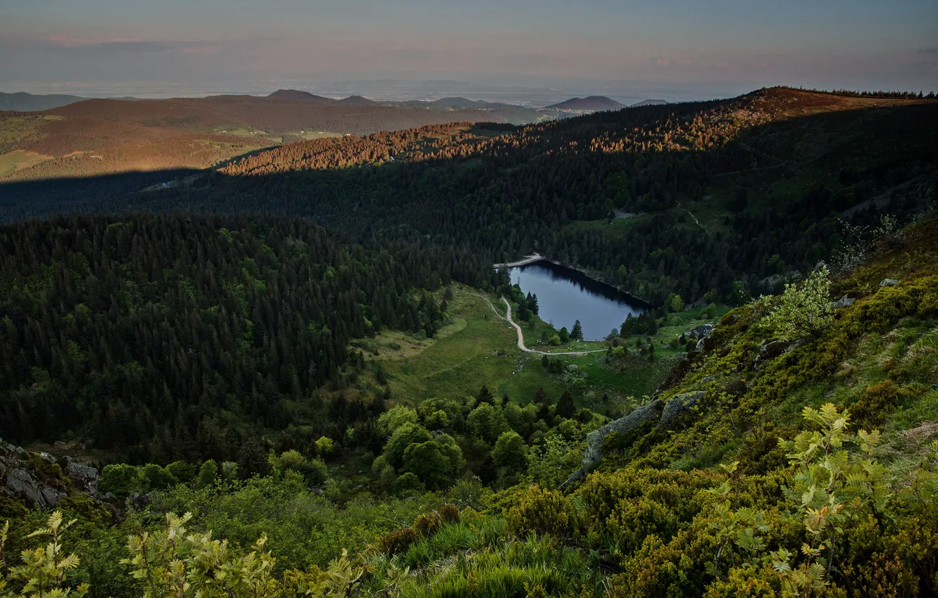 Фото обои лес, горы, озеро, холмы, вид, высота